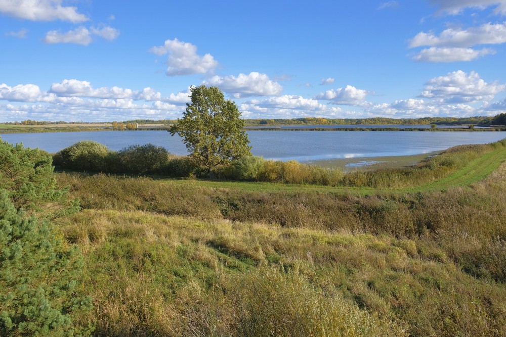 Sātiņu dīķi, ainava