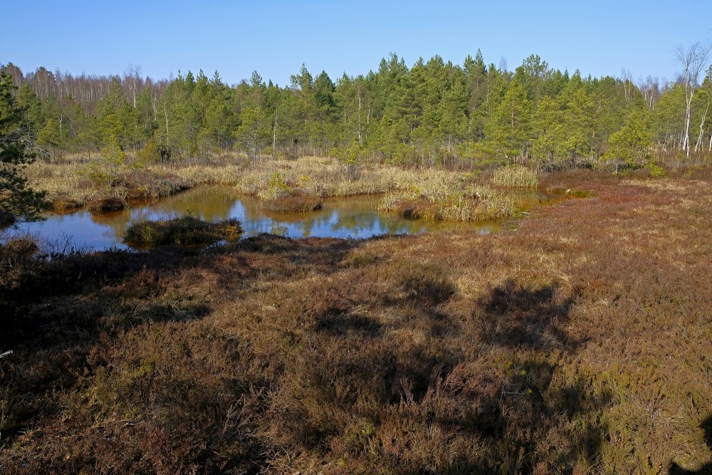 Ķemeri Sulphur Ponds