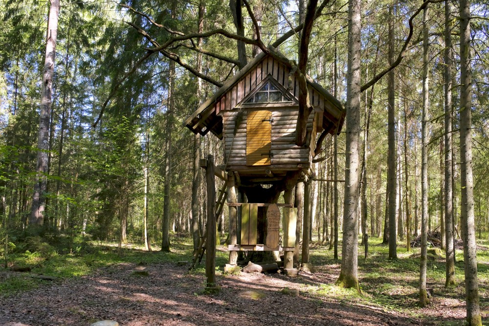 Izziņas parks "Ozolu biotops" un "Līvu iela"