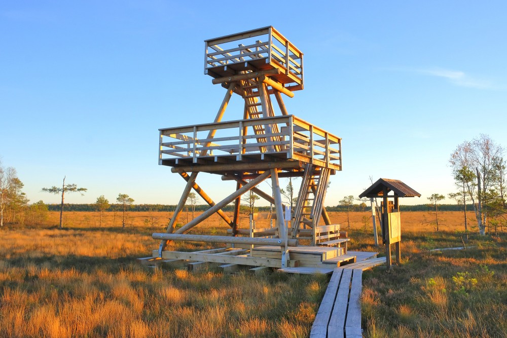 Vasenieku purva putnu vērošanas tornis