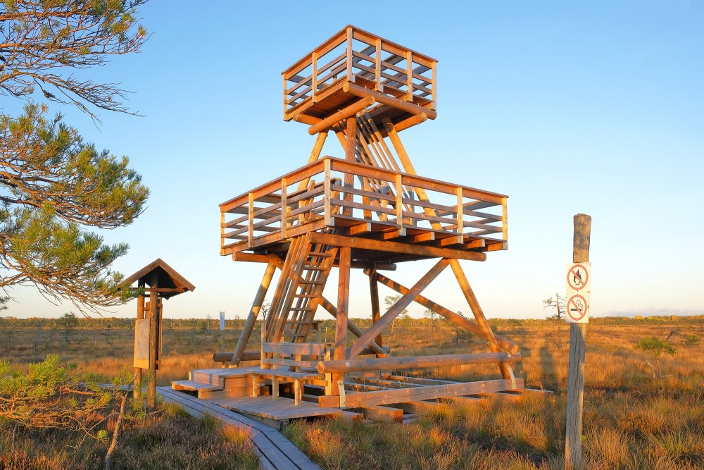 Vasenieku purva jaunais putnu vērošanas tornis