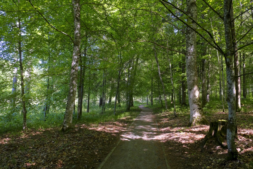 Kazdanga Park Nature Trail