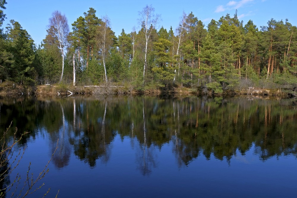 Natural Peat Pits In The Ķemeri Bog