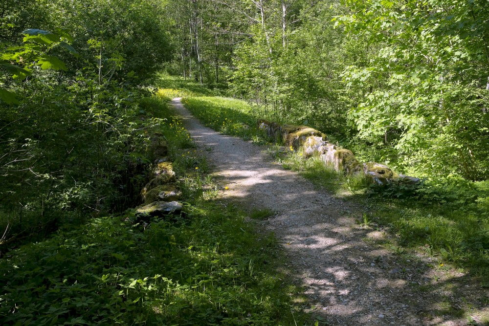 Kazdanga Park Nature Trail