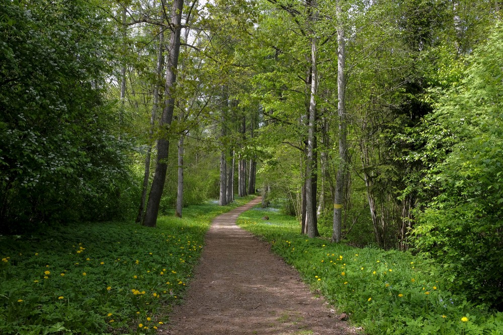 Kartavkalna taka