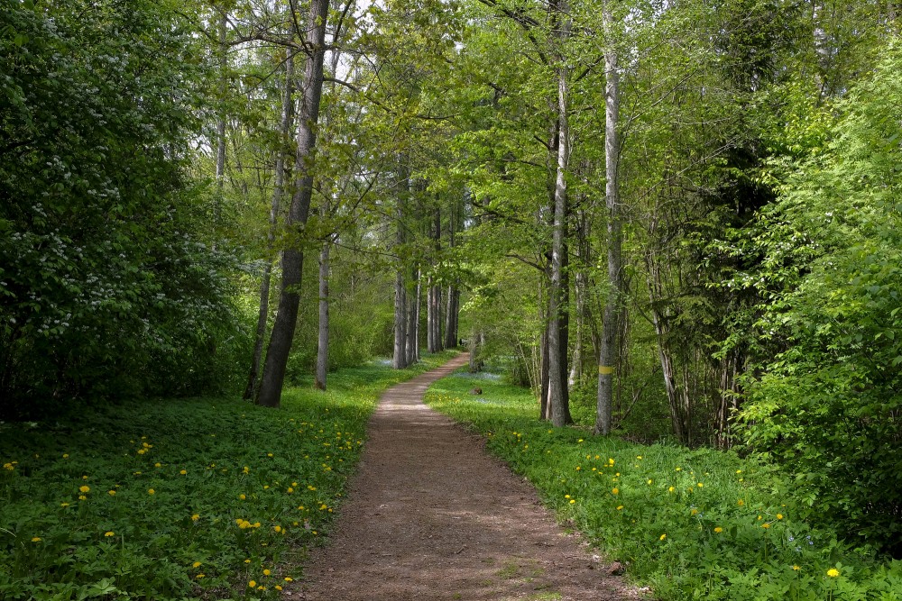 Kartavu Hill Nature Trail