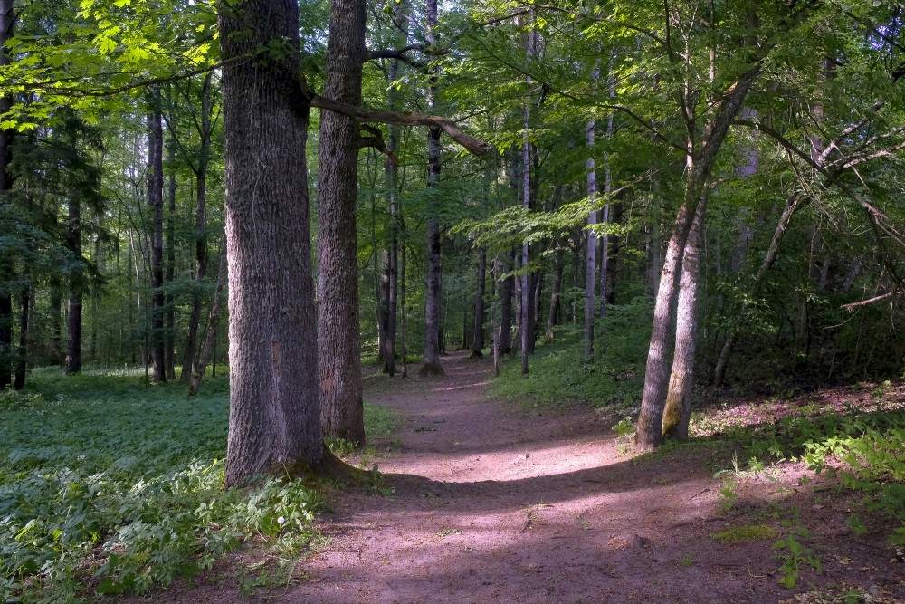 Gārsenes dabas takas Gārsenes dabas takas