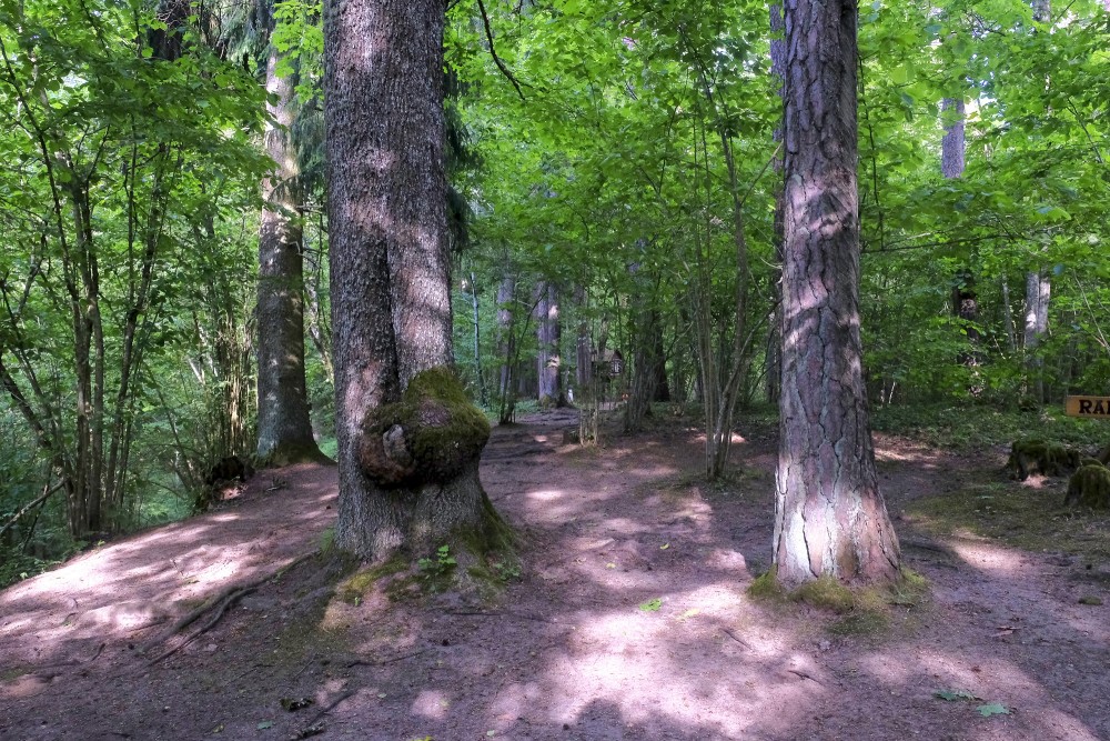 Gārsenes dabas takas Gārsenes dabas takas