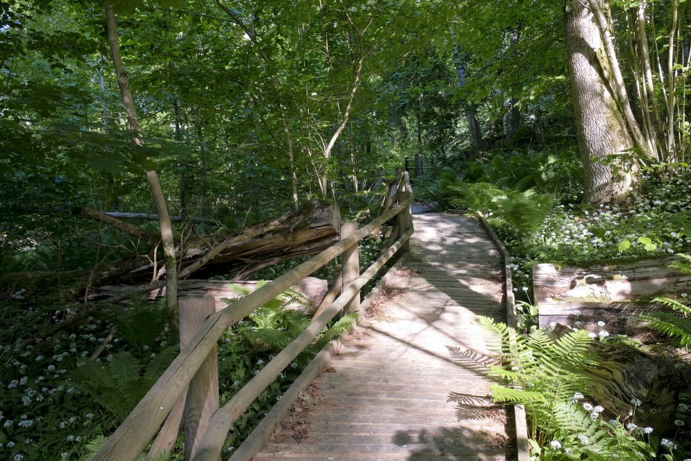 Šlītere Nature Trail