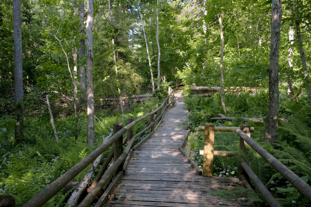Slītere Nature Trail