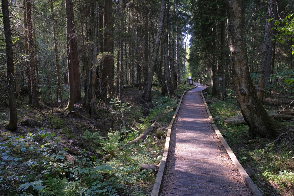 Slītere Nature Trail