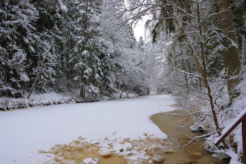 Roja River in Winter