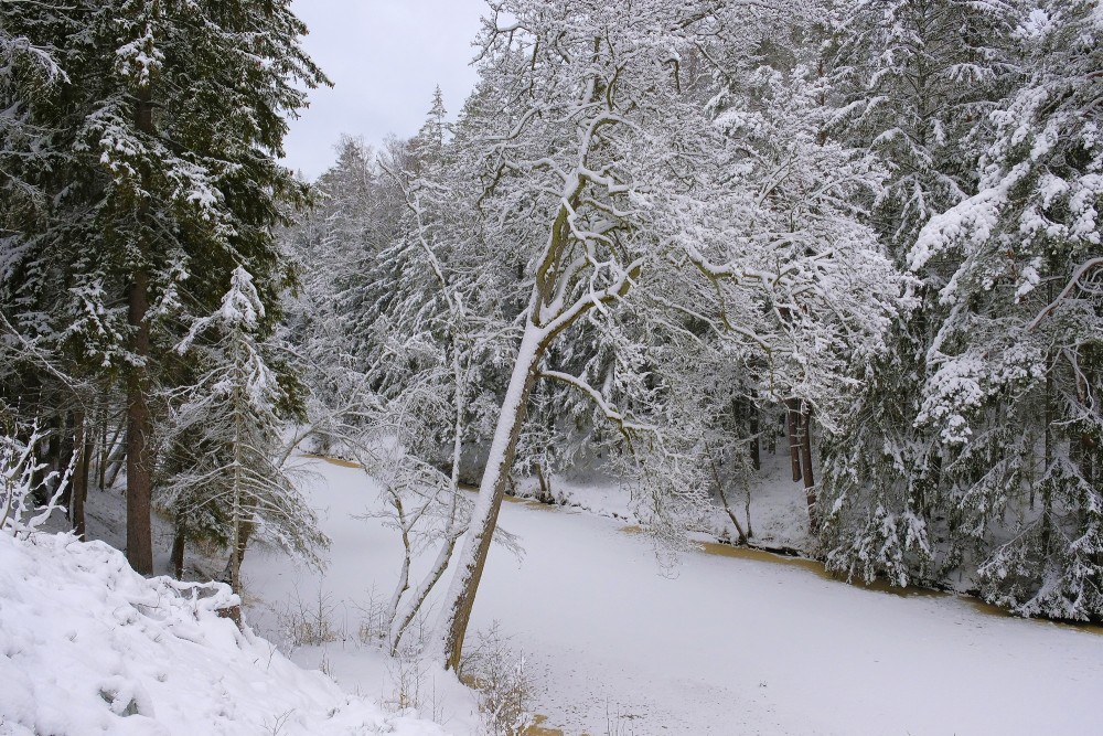 Roja River in Winter