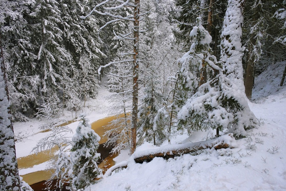 Roja River in Winter