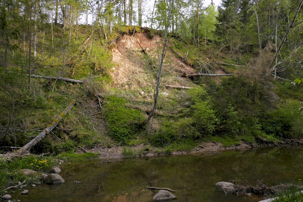 Viesata River Circles' Trail