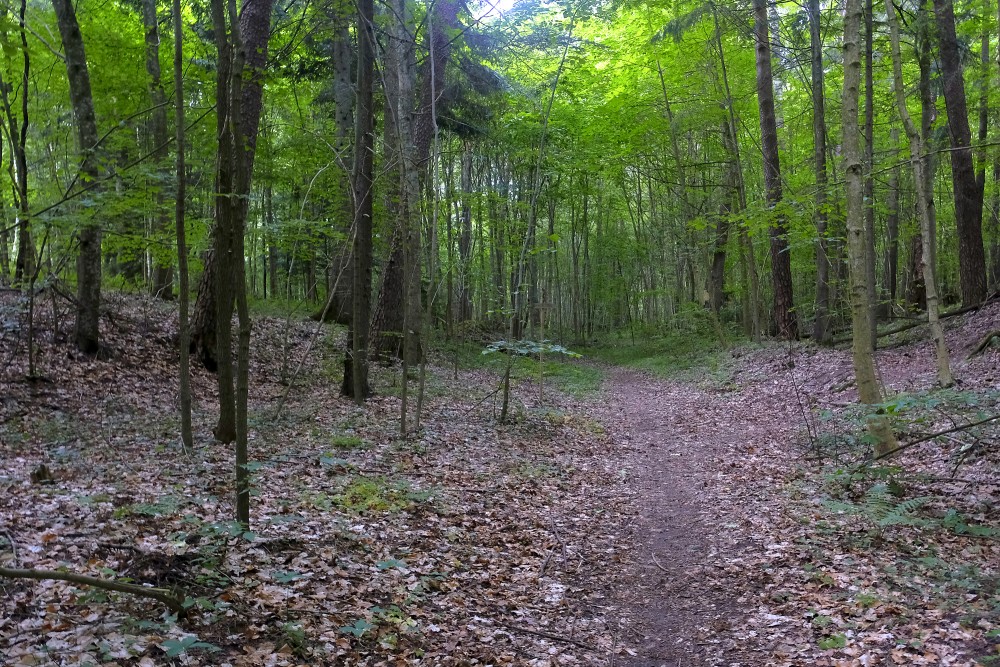 Rudbārži Park Nature Trail