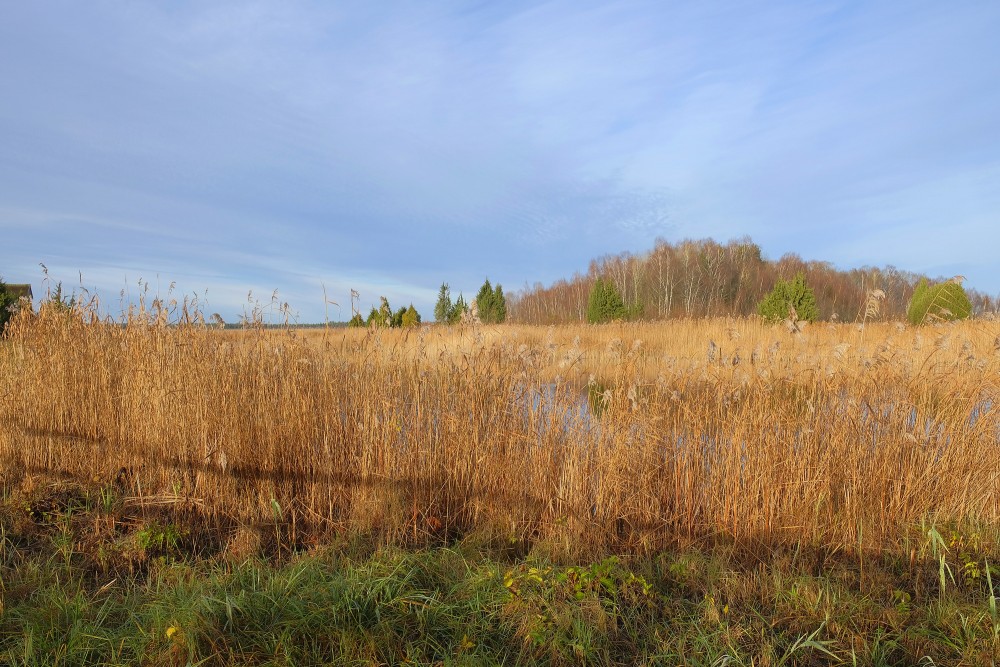 Skats uz Kaņiera ezeru