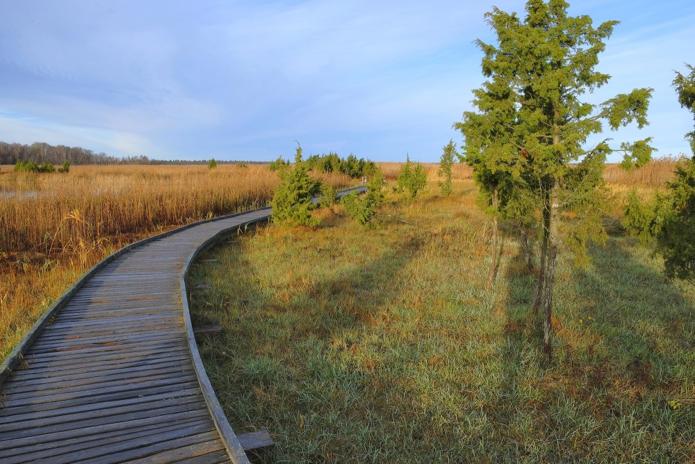 Ejot pa Kaņiera ezera niedru laipu
