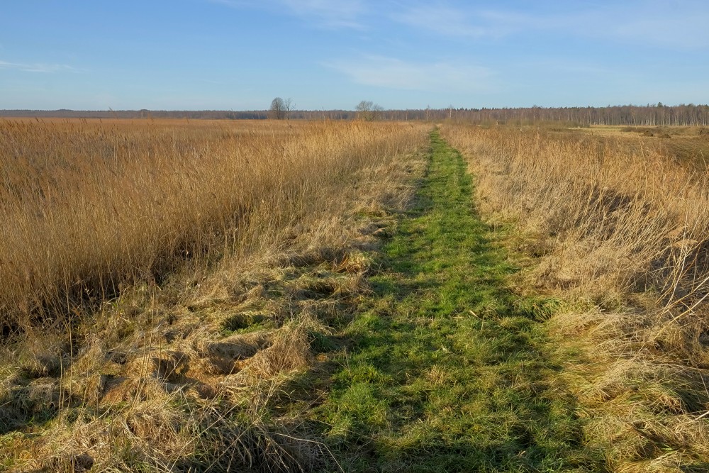 Papes polderu pļavas