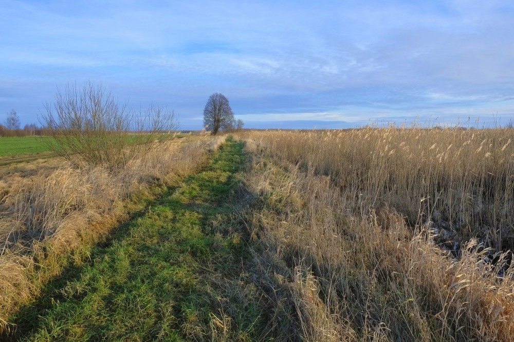 Lake Pape Trail