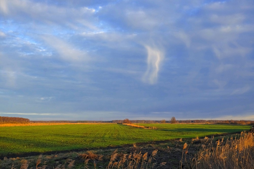 Papes polderu pļavas