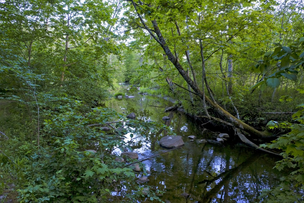 River Losis, Latvia