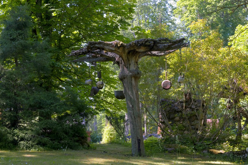 Nature Trail “Gaiļi” in Jumprava