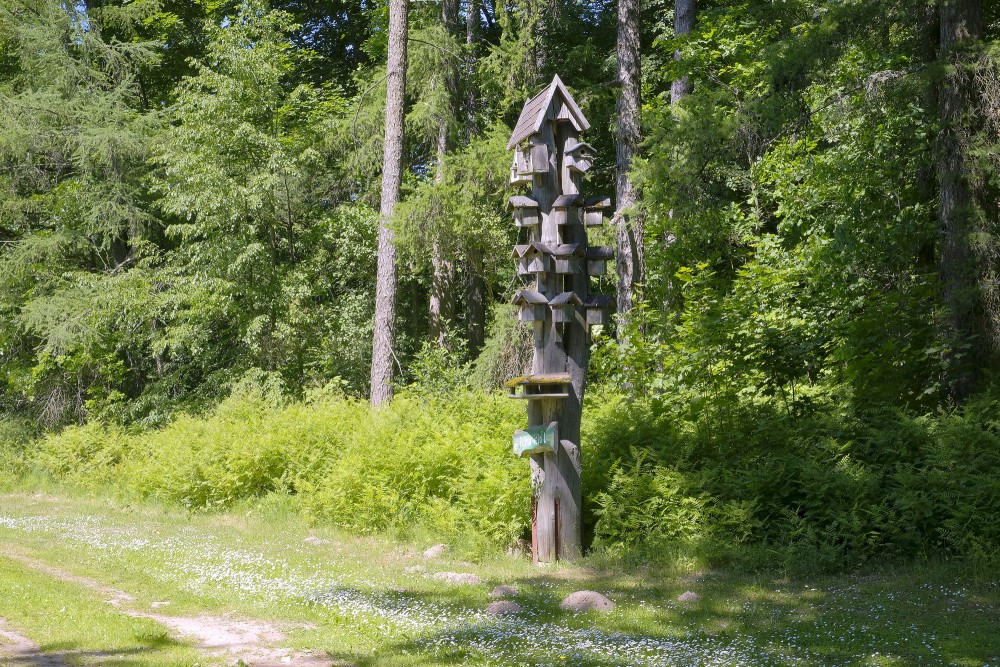 Nature Trail “Gaiļi” in Jumprava