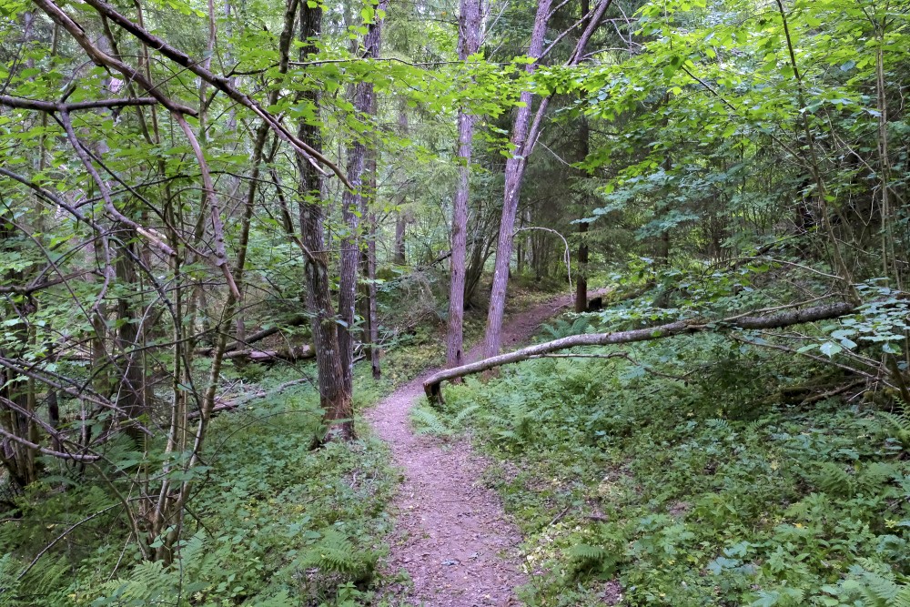 Vedze Nature Trail