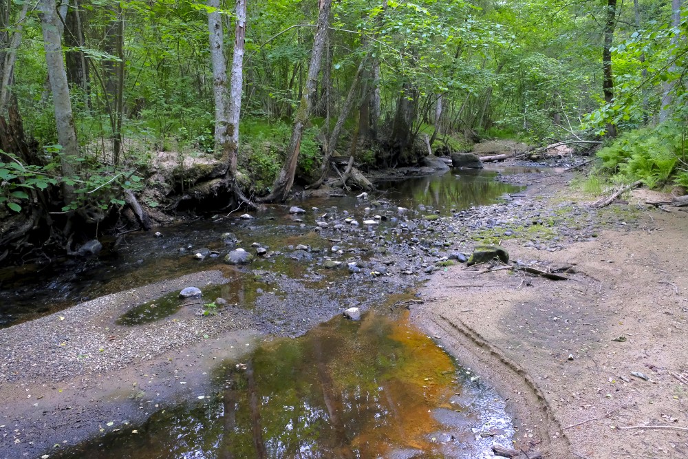 Vedze Nature Trail,  Vedze River