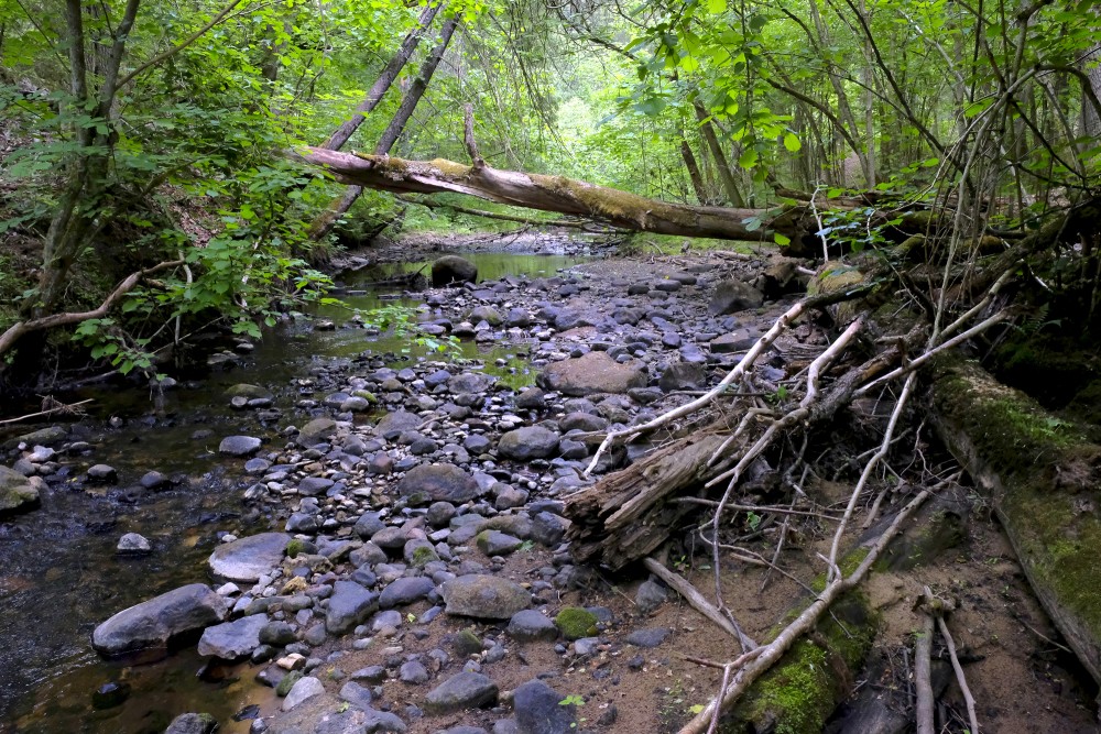 Vedze Nature Trail