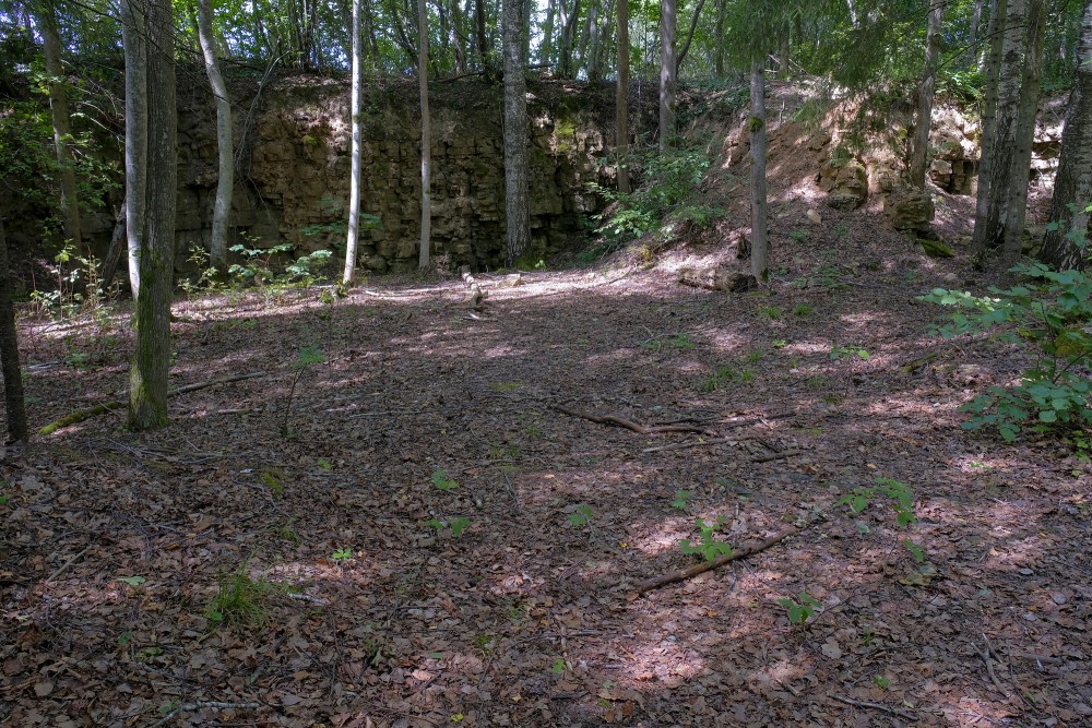 Dolomīta atsegumi Tilderu dabas takā Dolomīta atsegumi Tilderu dabas takā