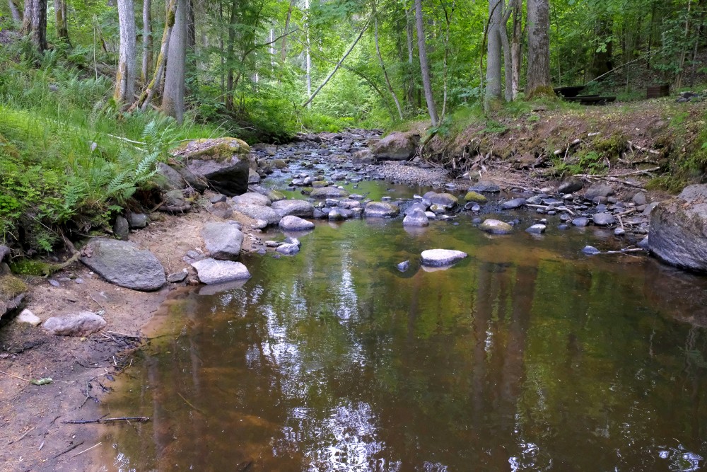 Vedze Nature Trail,  Vedze River