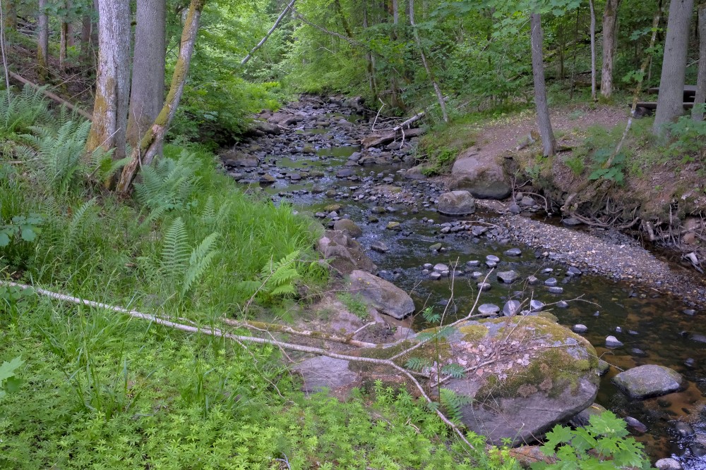 Vedze Nature Trail,  Vedze River