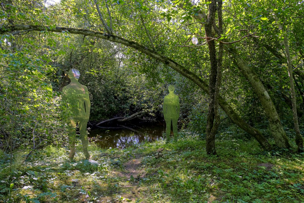 Vaidavas dabas taka Vaidavas dabas taka