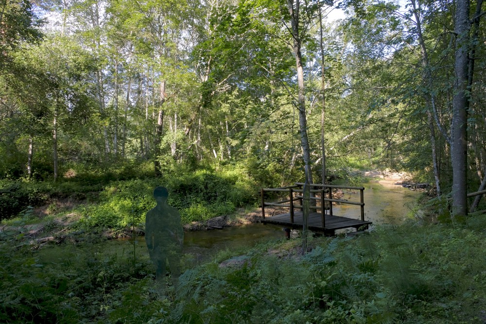 Ape Nature Trail
