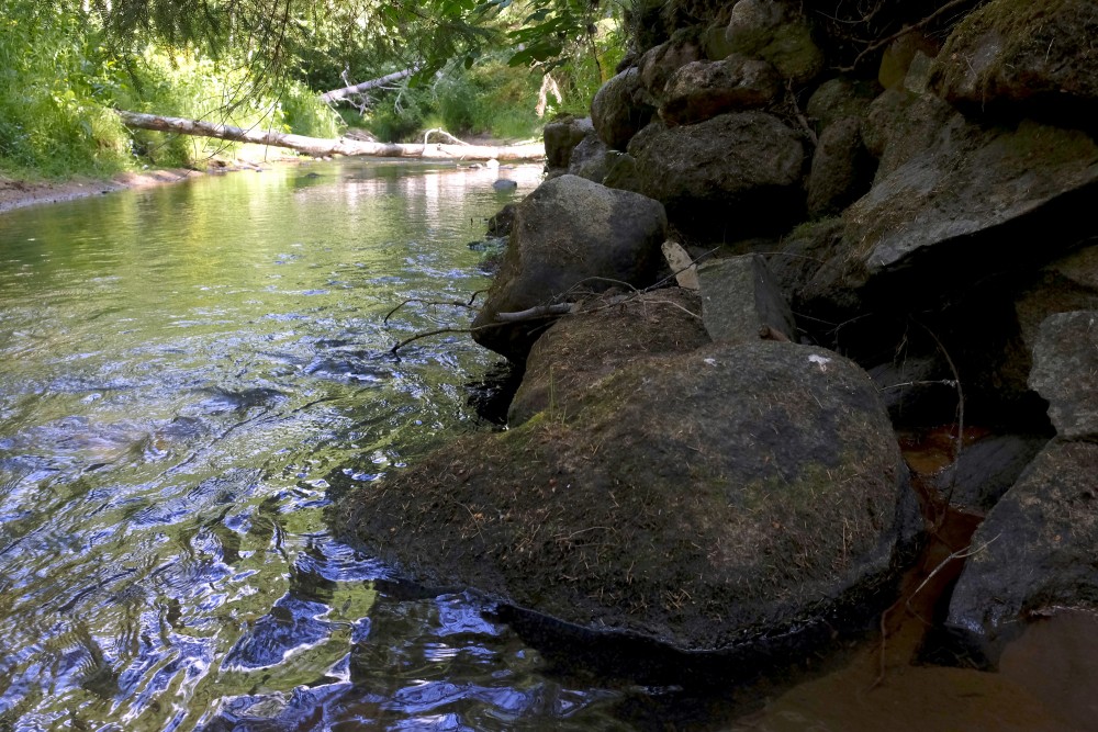 Līgatne River, Līgatne River Nature Trail