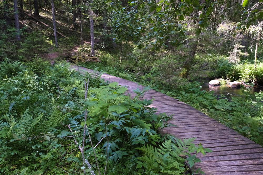 Līgatne River Nature Trail
