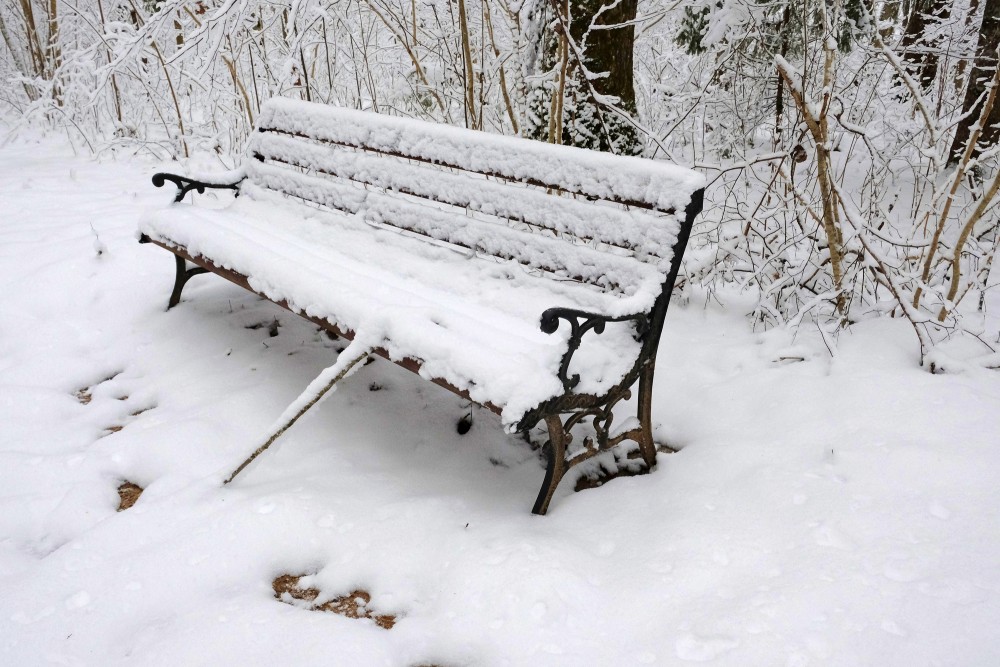 Apsnidzis sols Kalētu meža parkā