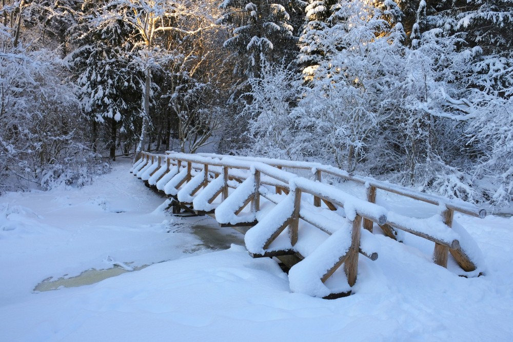 Kartavu Hill Nature Trail in Winter