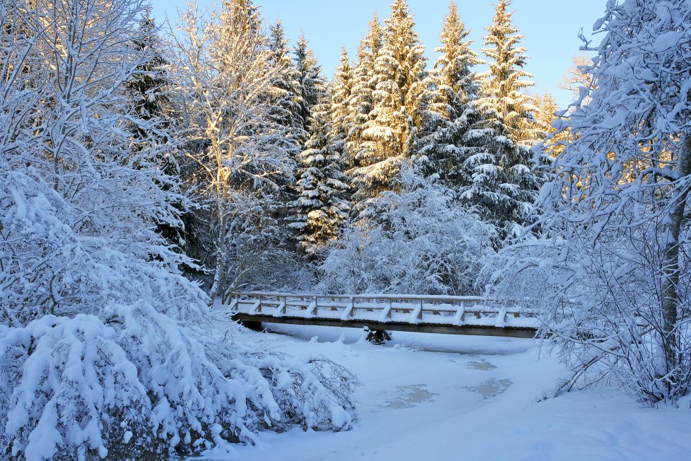 Kartavu Hill Nature Trail in Winter