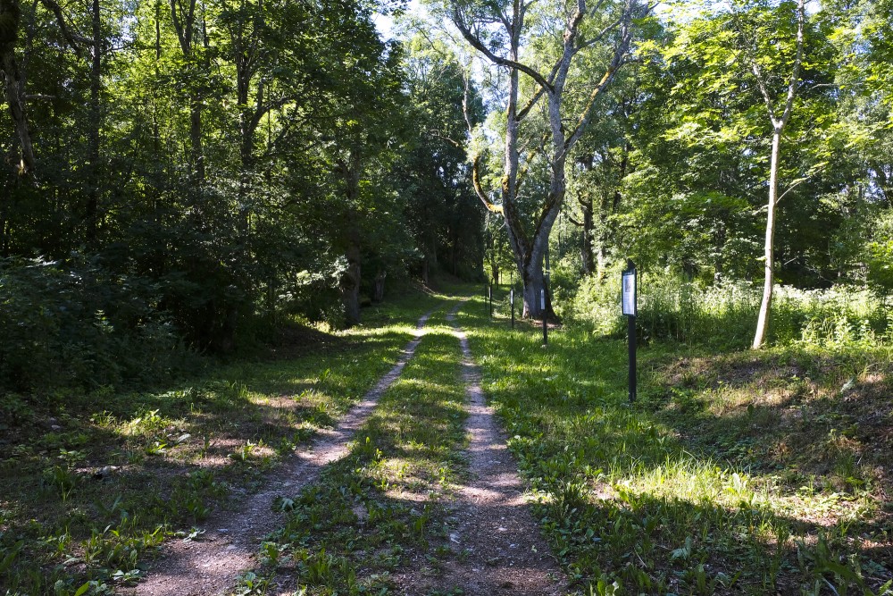 Trail of High Wisdom