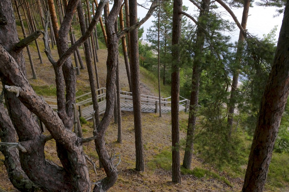 Ēvažu dabas taka un stāvkrasts