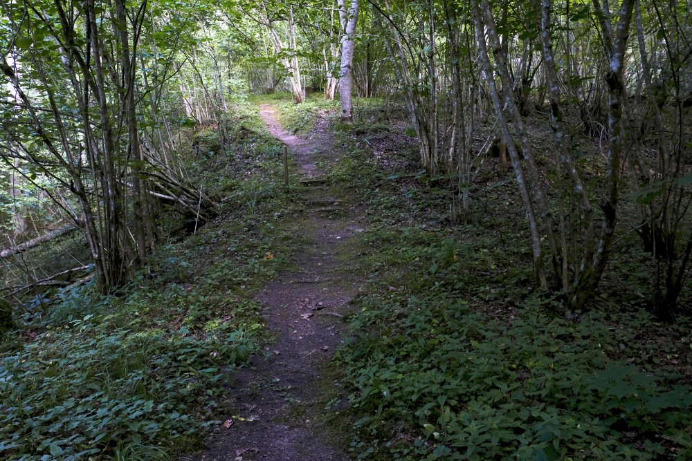 Staburags Trail, Gārsene