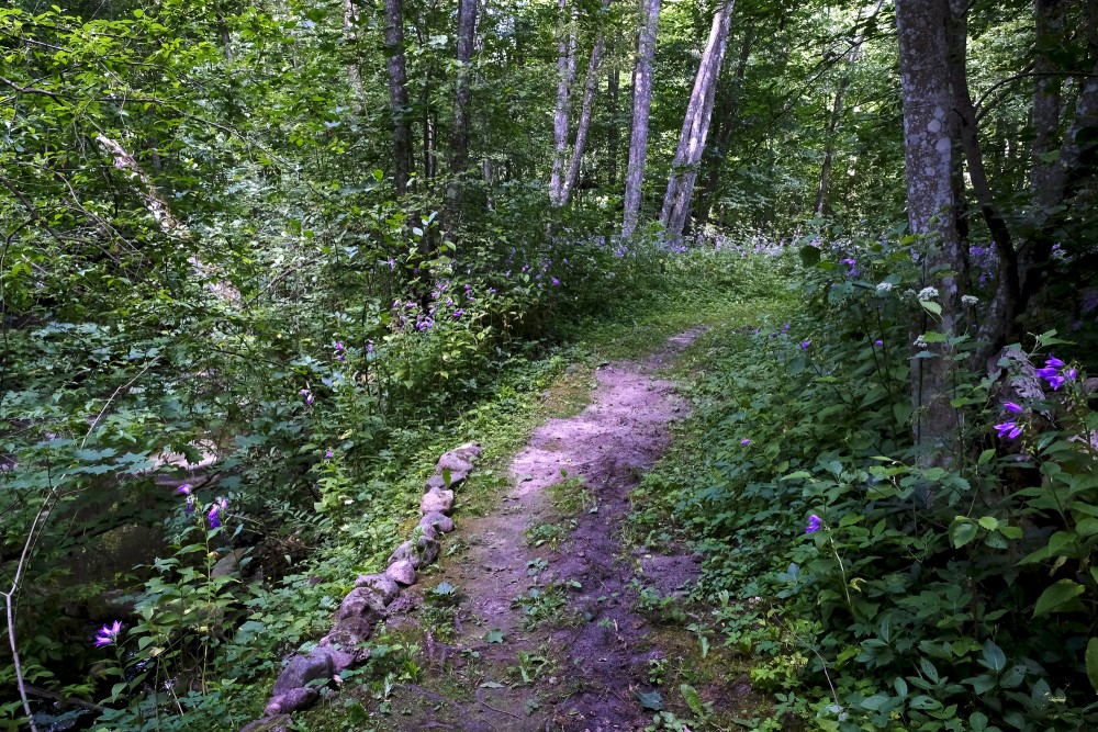 Akmeņupe Nature Trail