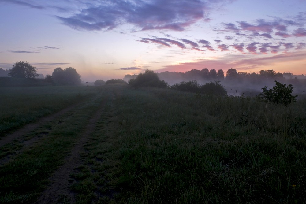 Raņķi Recreation Grove in the Early Morning 