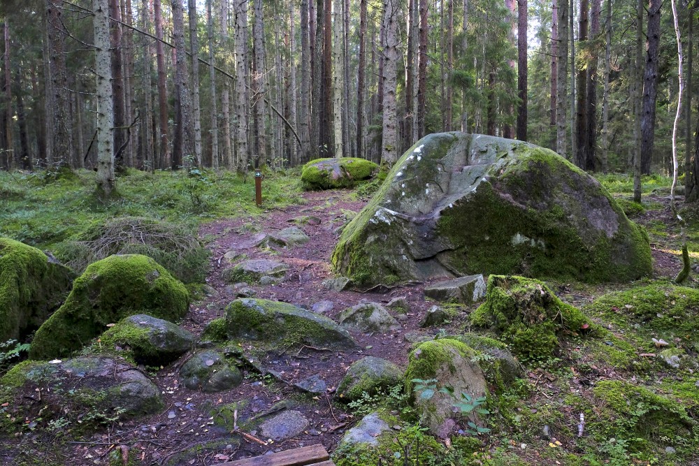 Natural monument "Kaltenes Kalvas"