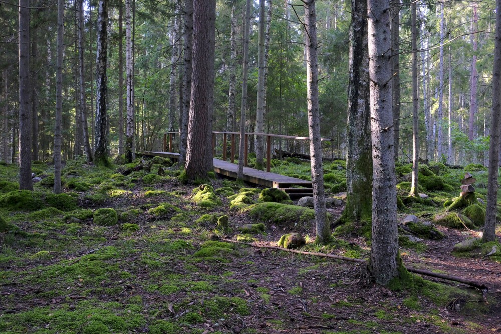 Nature trail "Kaltenes Kalvas" (Stone Ridges)