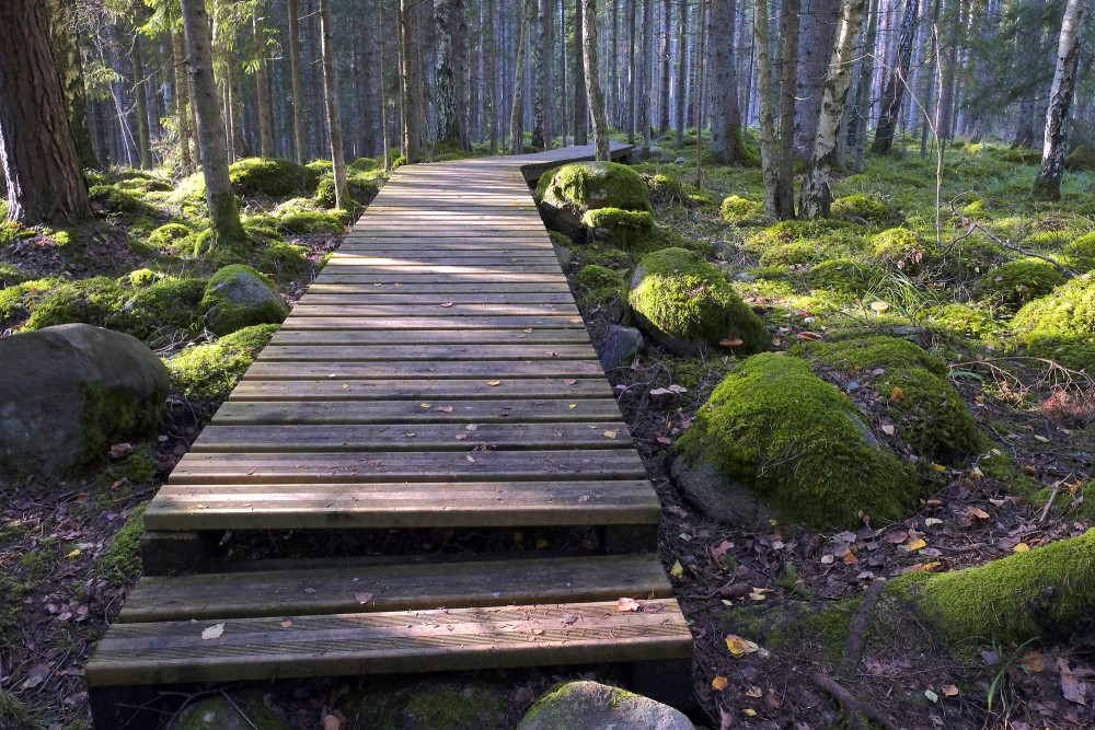 Nature trail "Kaltenes Kalvas" (Stone Ridges)