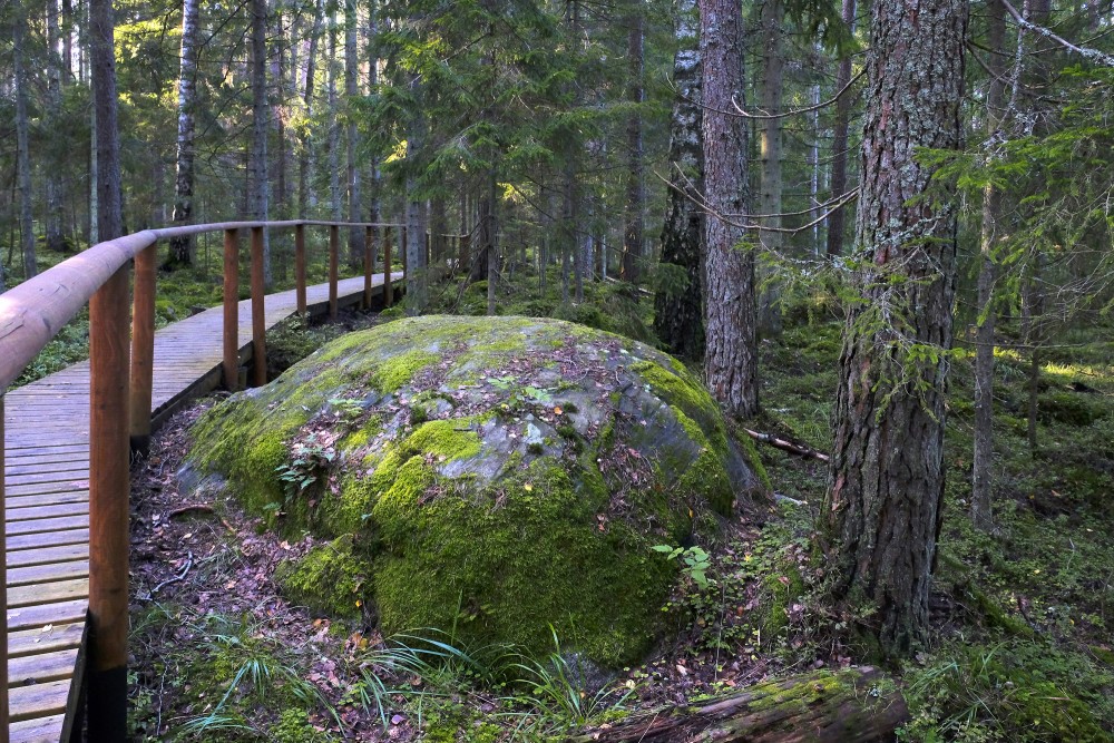 Nature trail "Kaltenes Kalvas" (Stone Ridges)